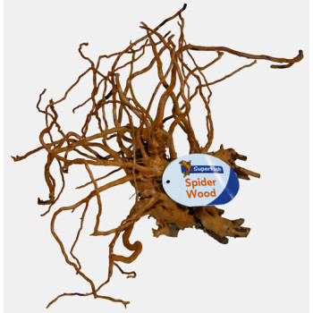 Spider Wood Medium